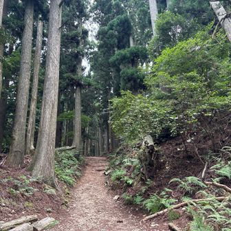 少し🤏休憩して山頂目指します🚶🏻