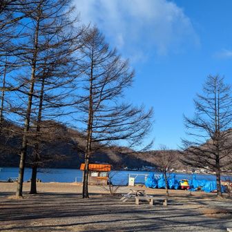 新潟吹雪いてるの信じられないような天気（いつものこと）