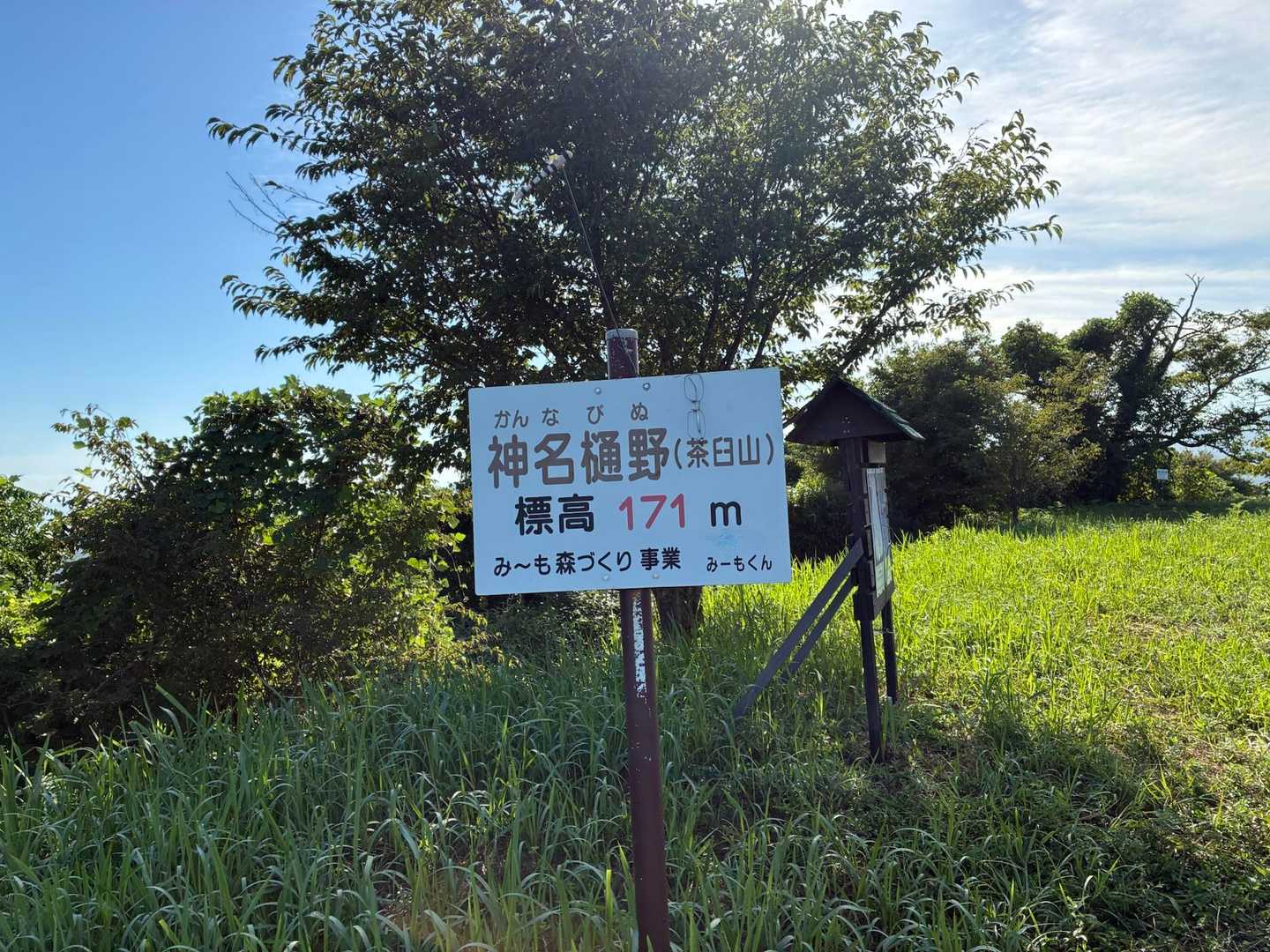 着きました！