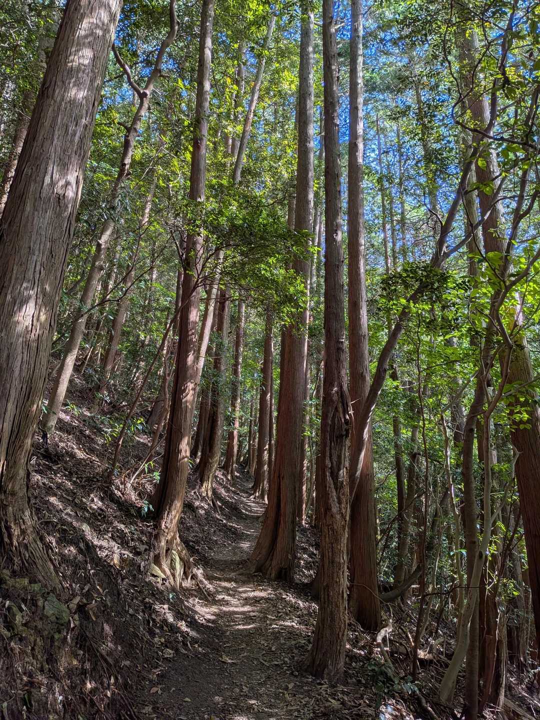 お⛰️さんの中は涼しい✨