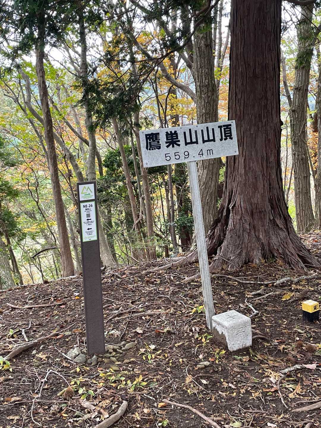 鷹巣山