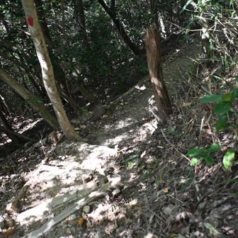 内環状いきます、
出逢いの広場まで