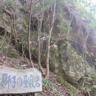 よくわからんけど…獅子の昼寝岩らしい🤔