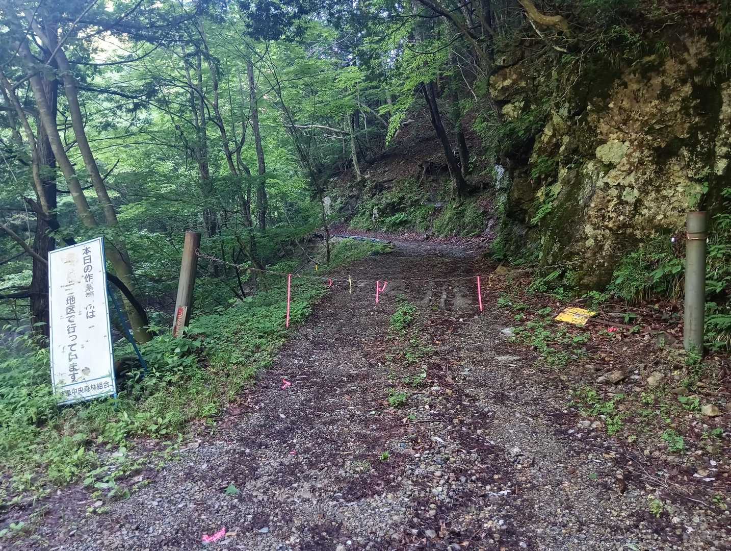 分岐点からさらに林道を😣