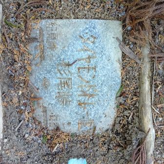 埋まってた杉尾峠の石碑