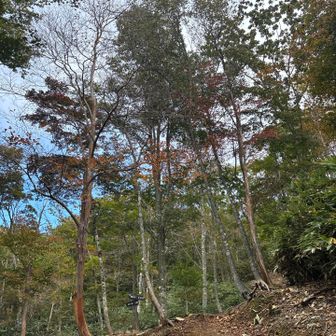 来た展望台に向かいましたが…