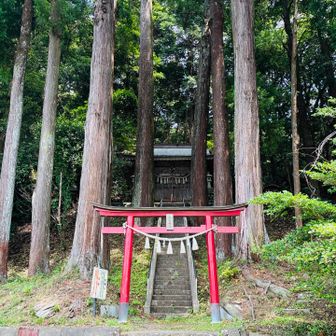 高尾神社⛩️
舗装路を抜けてまた登山道🥾