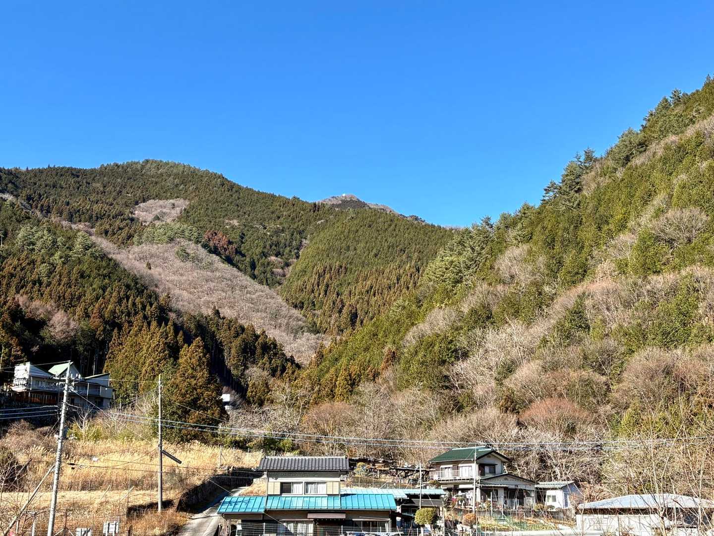 頭に白い反射板？が笹子雁ヶ腹摺山