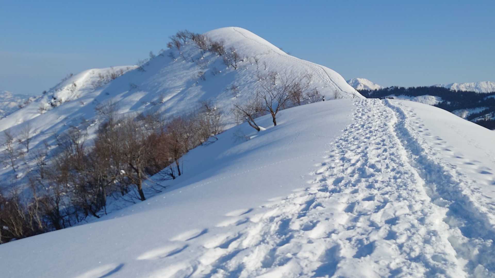 振り返って大力山