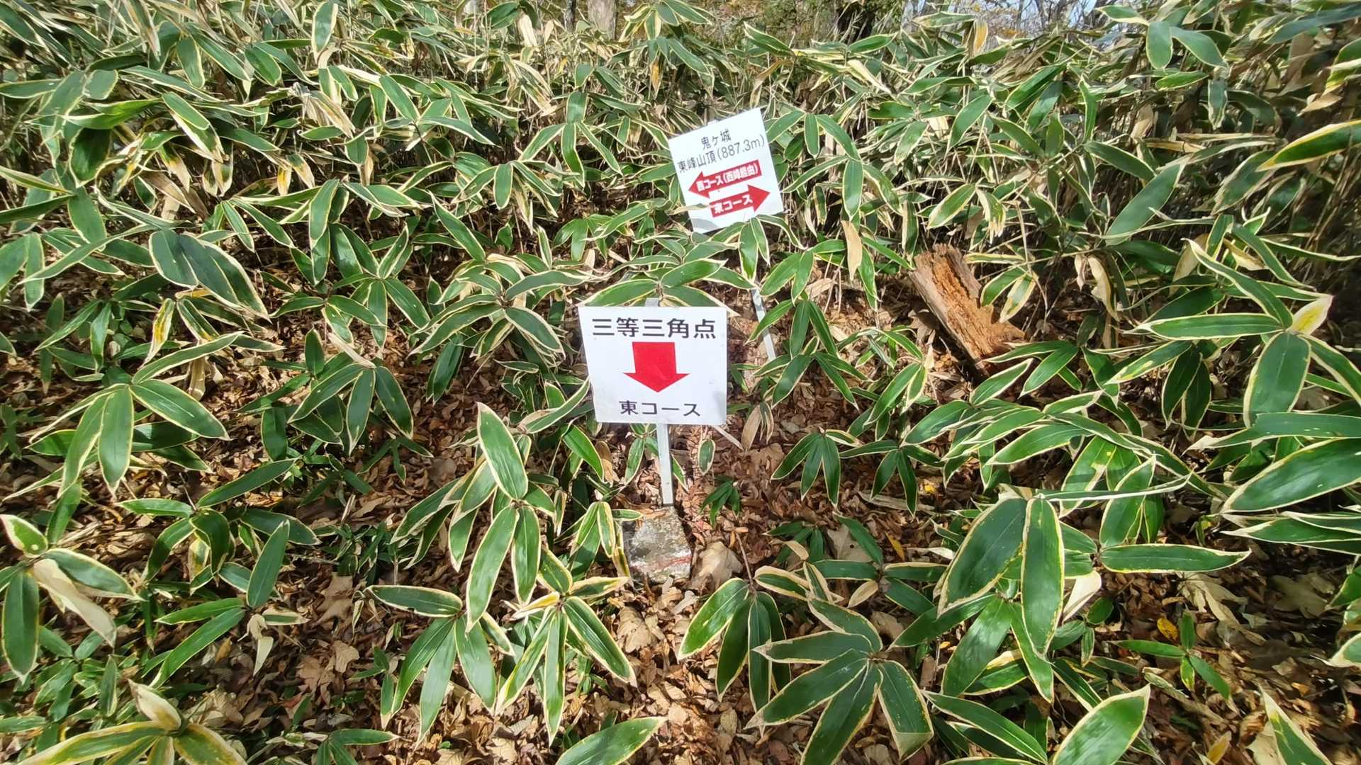 三角点