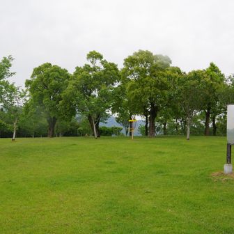 近くにピークがあったのでYAMAPの地図を見て来ました
