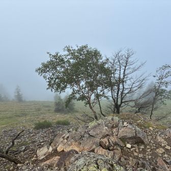 雷岩⚡️の上から　ガスで何も見えず