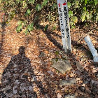 重かった……スノーシュー……