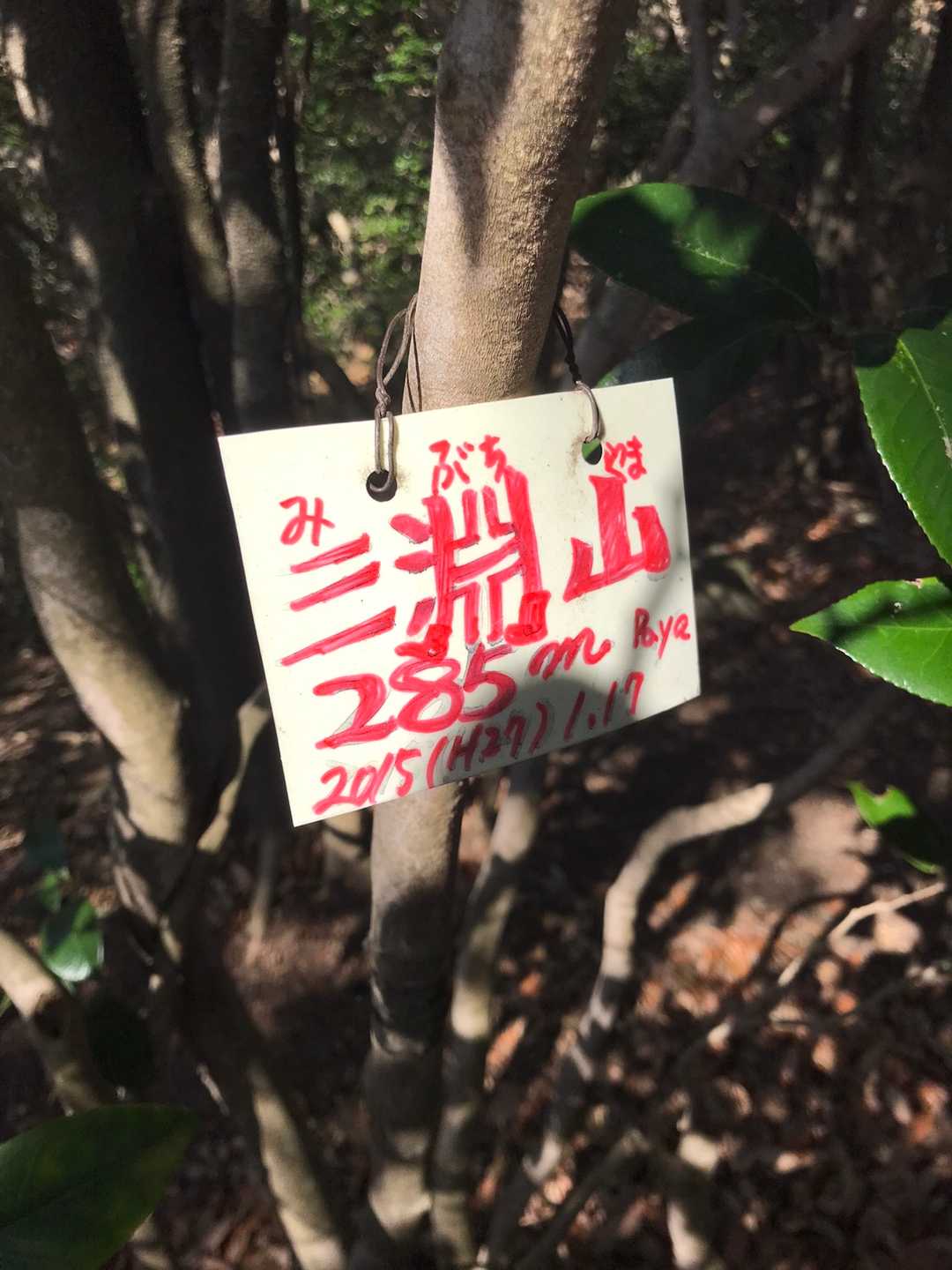 目につく高さに優しく設置。
