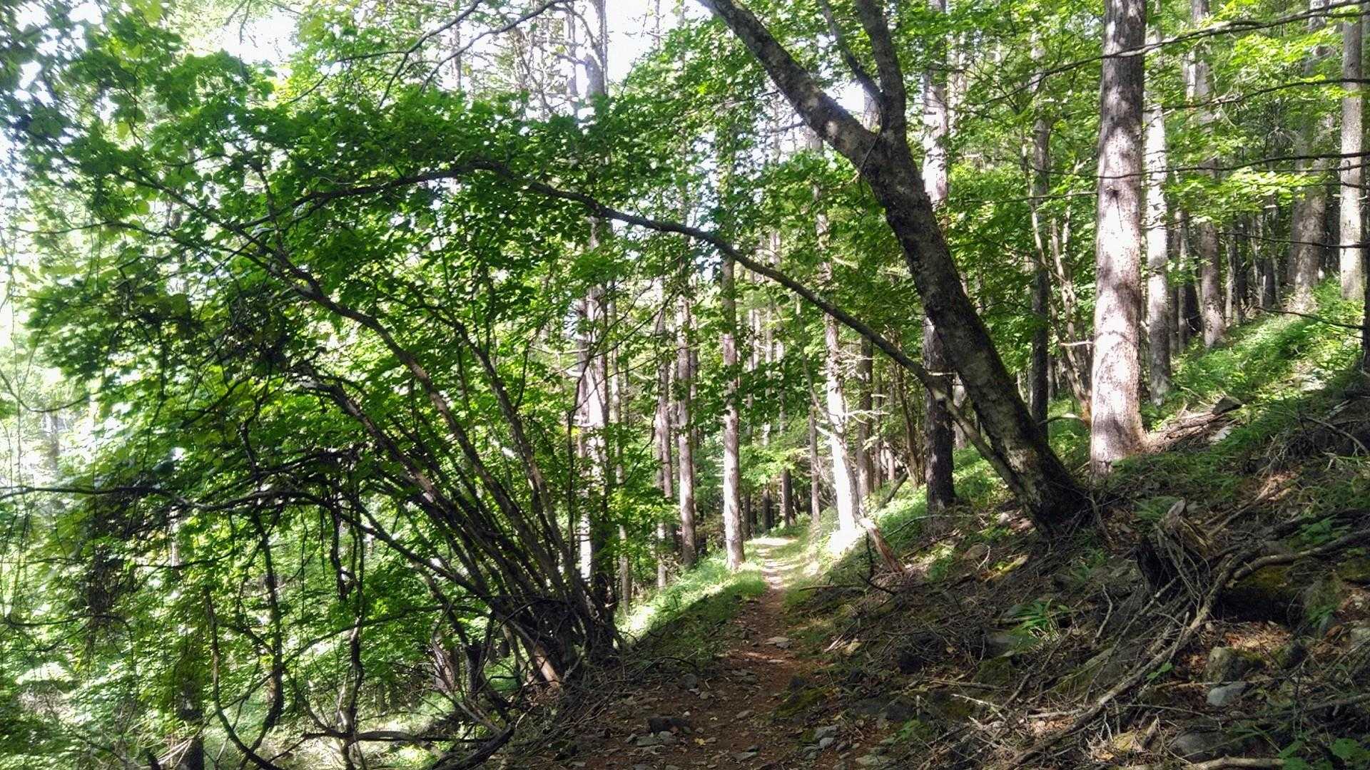 爽やか🌿
