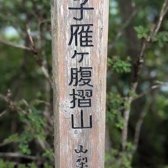 山梨百名山