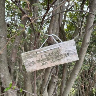 三角点▶️基準点名は萩平村