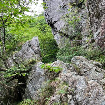 結界からは急登、階段もあって安全。