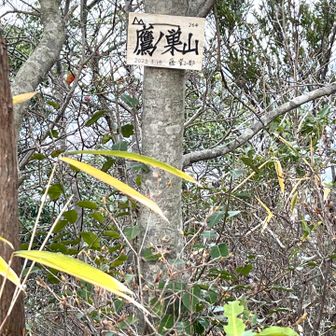 鷹ノ巣山の頂上で
メインの縦走路と合流し､
約30分で高御位山頂上⛰️
