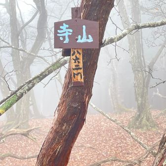 ピークを取りに寄り道