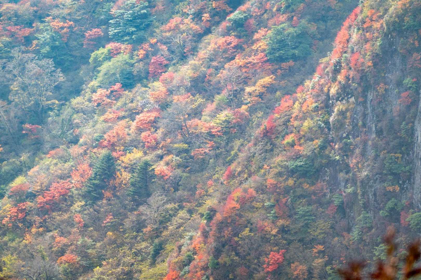 普賢岳 往復コース | ロープウェイスタート。生きている火山で地球を感じるの写真