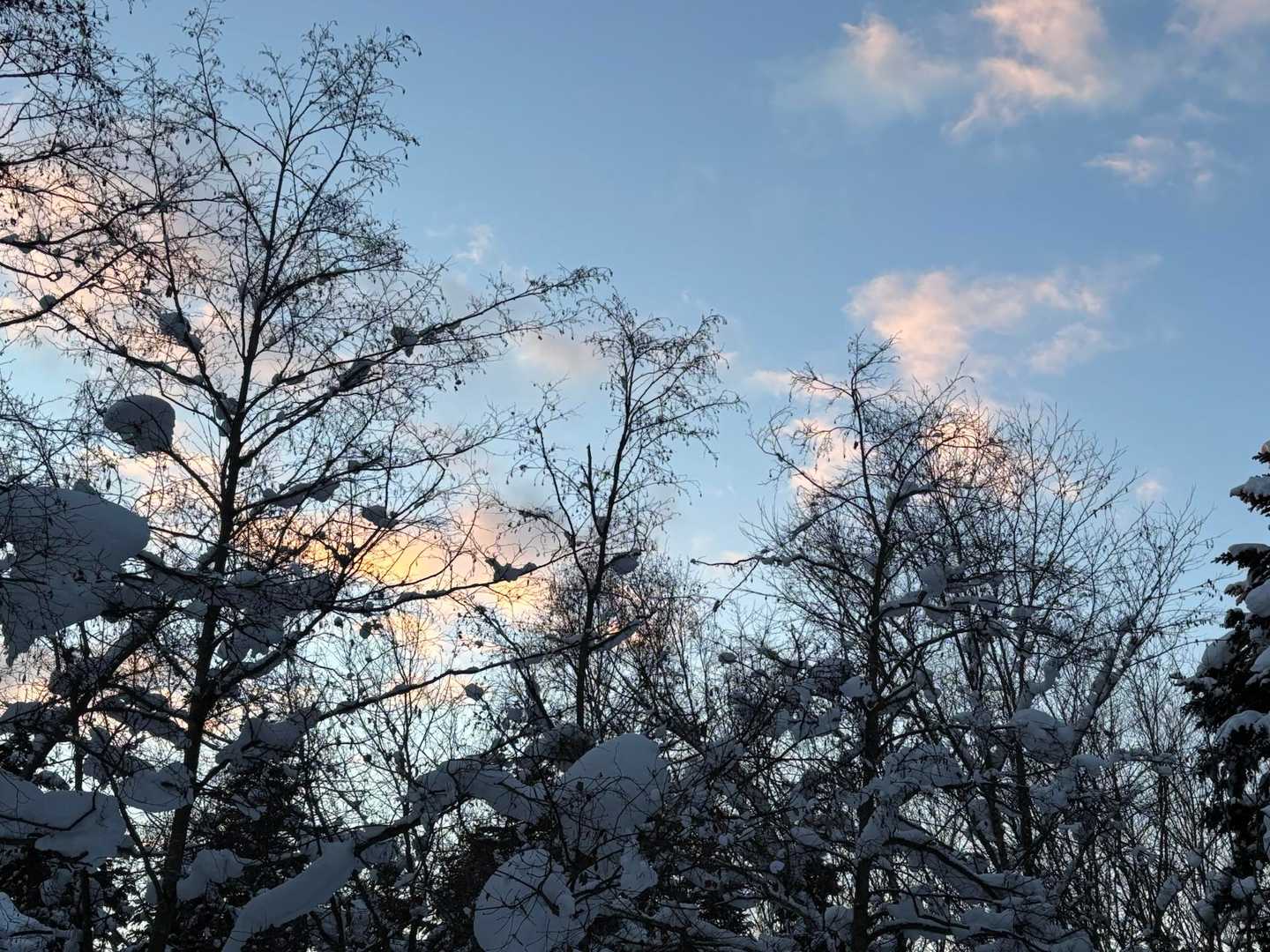 気持ちいい☺️
鳥の鳴き声も聞こえる。
ちゃんとみてたら鳥が見えるんだろうなー…。