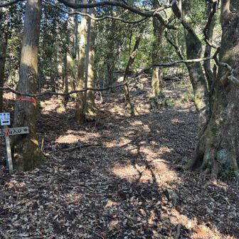 そのまま林道を進むと看板出て来ます。見落とさない様に！