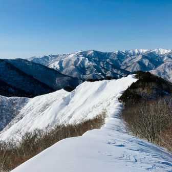 この先の尾根から下山します