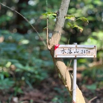 下って登って、一番の難所だったかも🥵