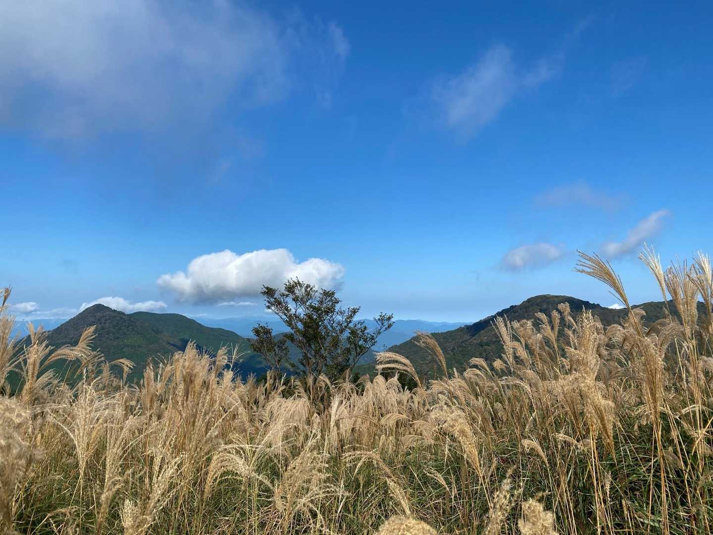 八面山-小屋ヶ森-串ヶ森-目黒鳥屋 往復コースの写真