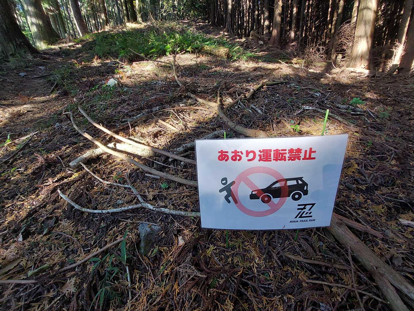 なぜここに？(´・ω・`)?
