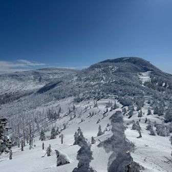 前山からの杉ヶ峰