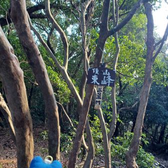 頂山東峰到着。