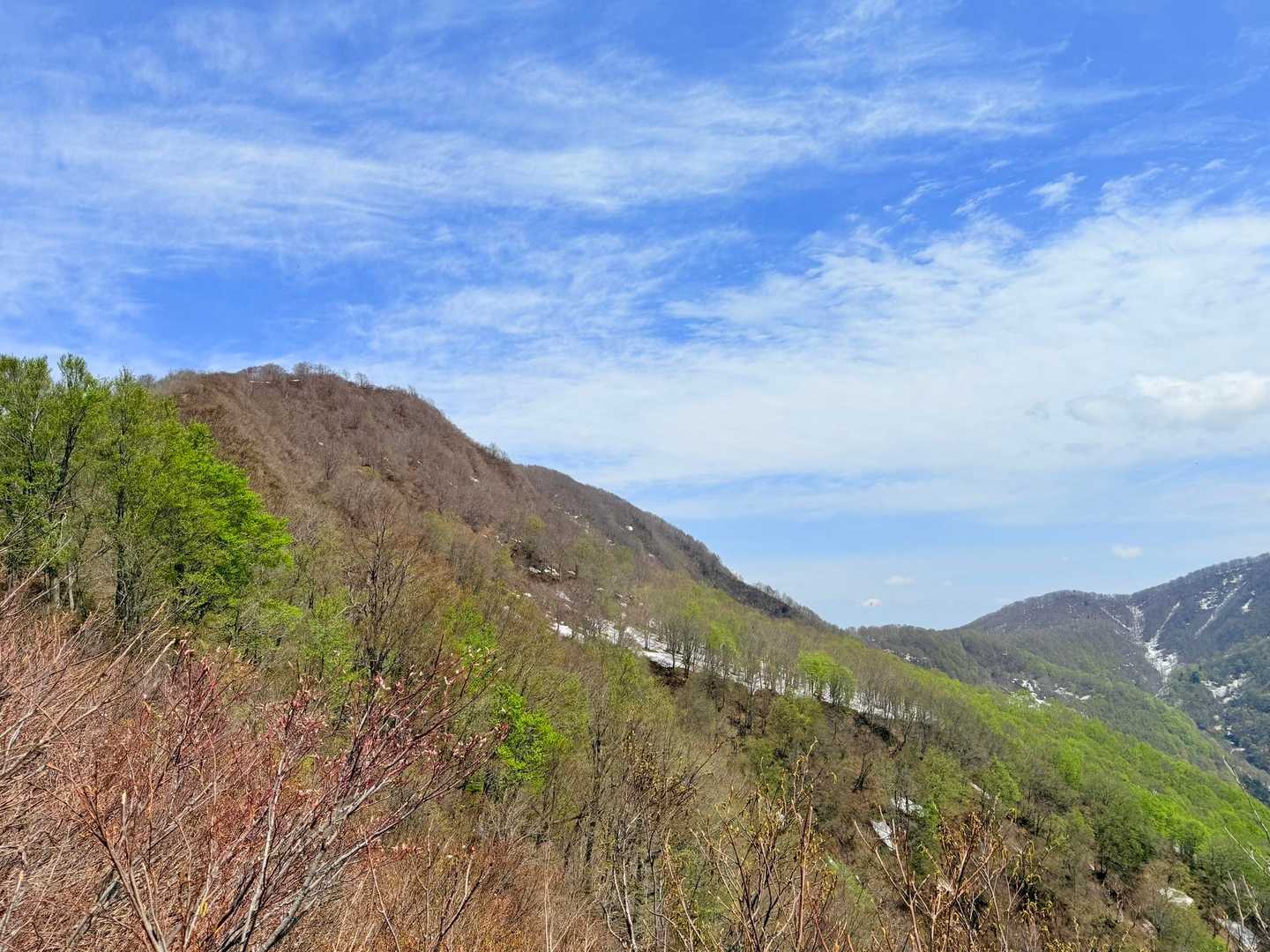 あれが甑岳😯