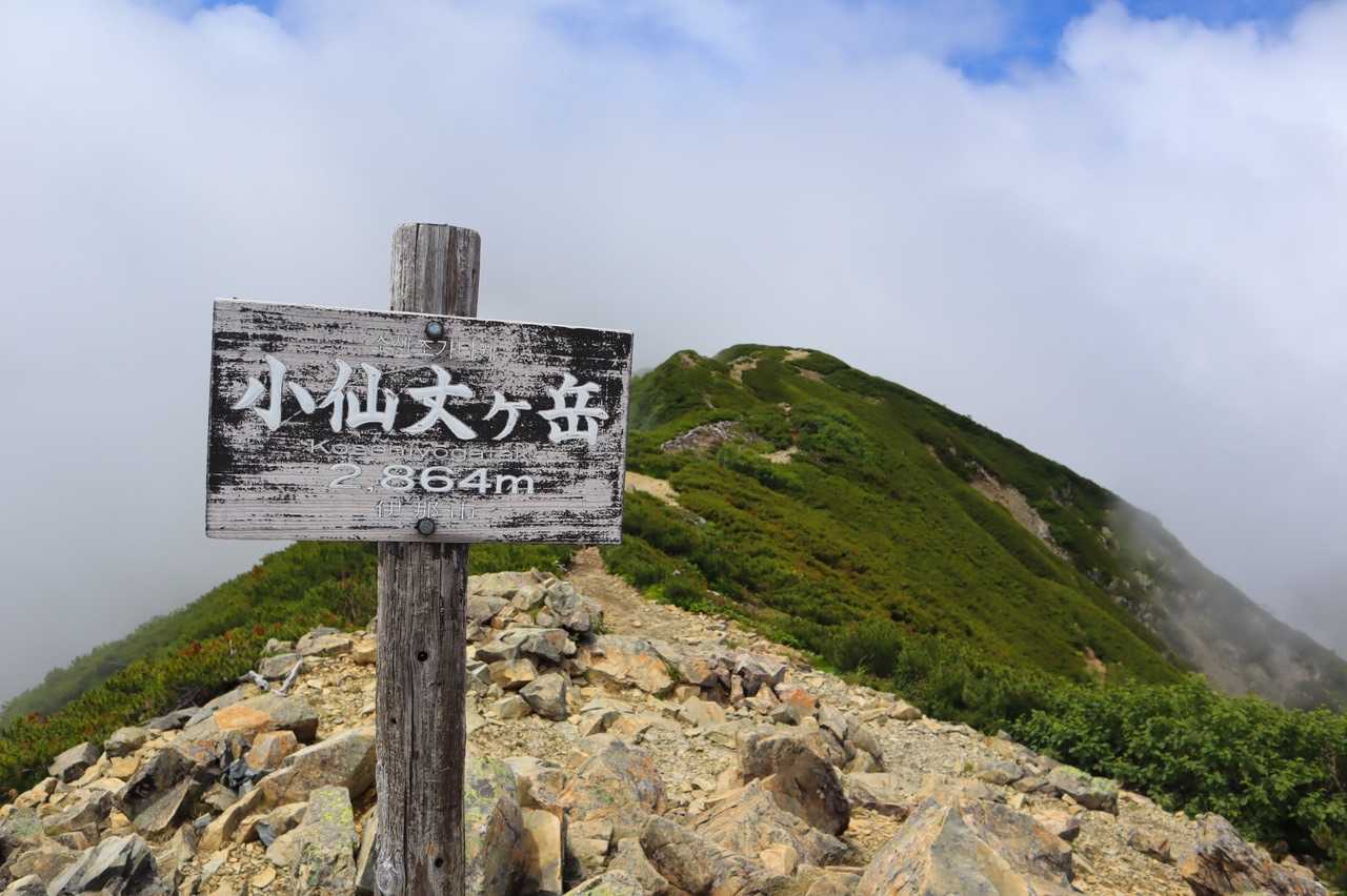 北沢峠-小仙丈ヶ岳 往復コースの写真