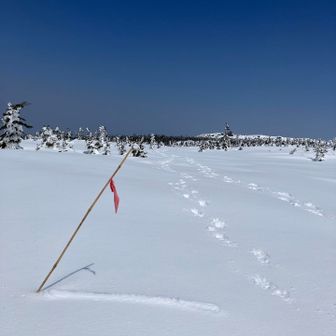 天狗岩の方へ。
目印とトレースがありました