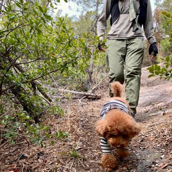 歩きながら📱だけ後ろ向きで撮影してくれてます💞
ノア監督のうしろからついて行きます