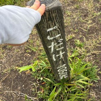 鞍岳ファミリーをコンプリート😆