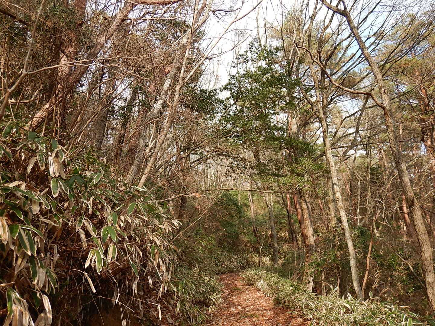 車🚗では厳しいけど、歩くには充分過ぎる山頂への道でした