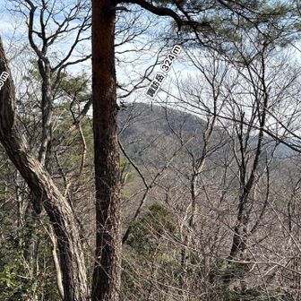 前方に諏訪岳が見えてきた