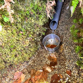 力無く、
チョロチョロ💧