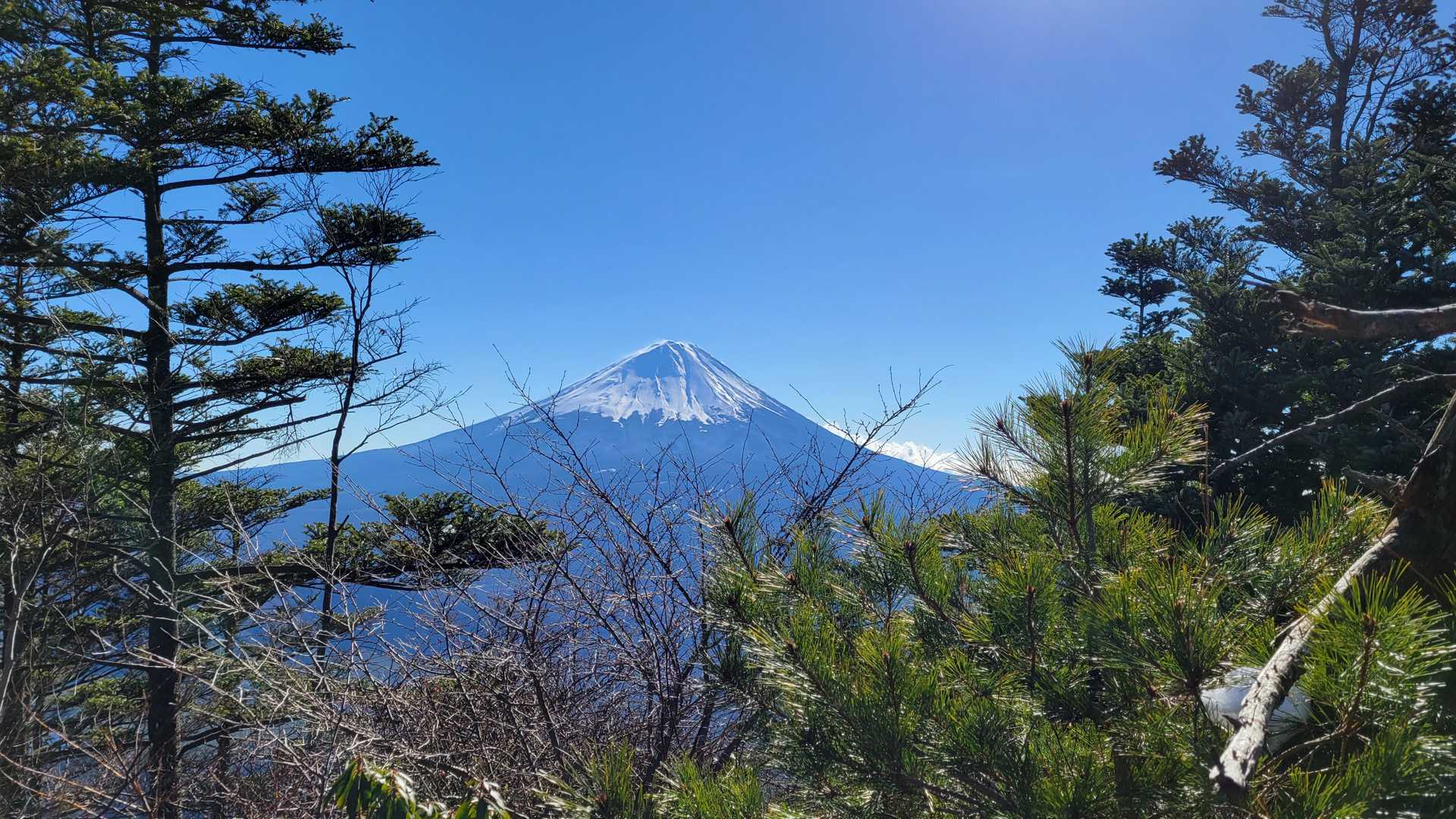 ここからも富士山見えます♪