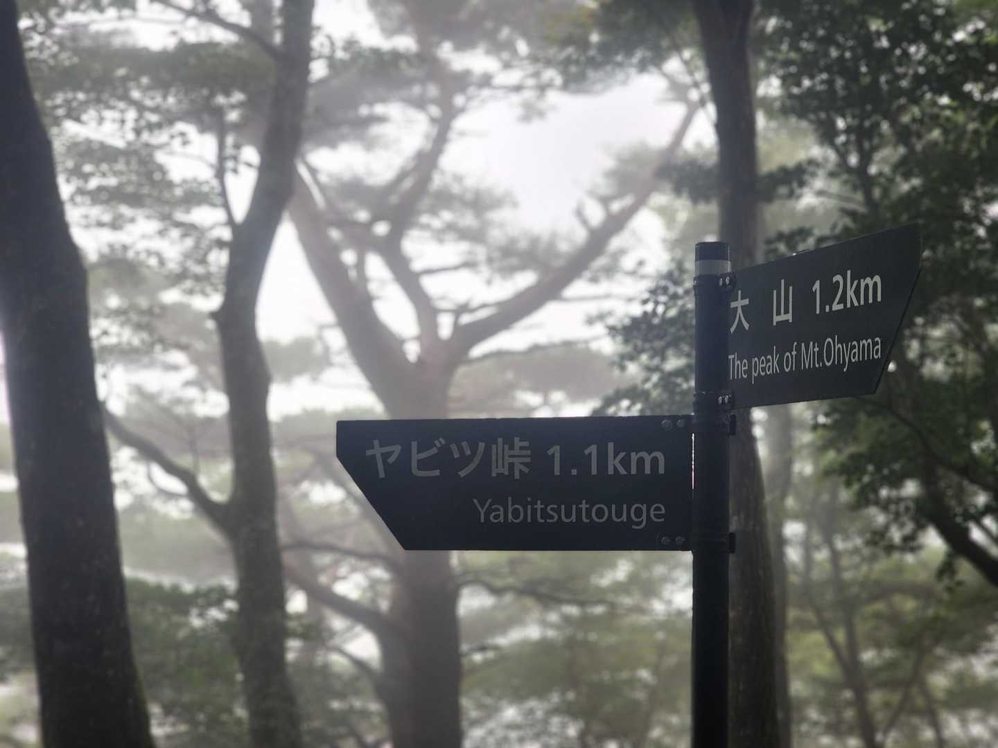 下山します👧