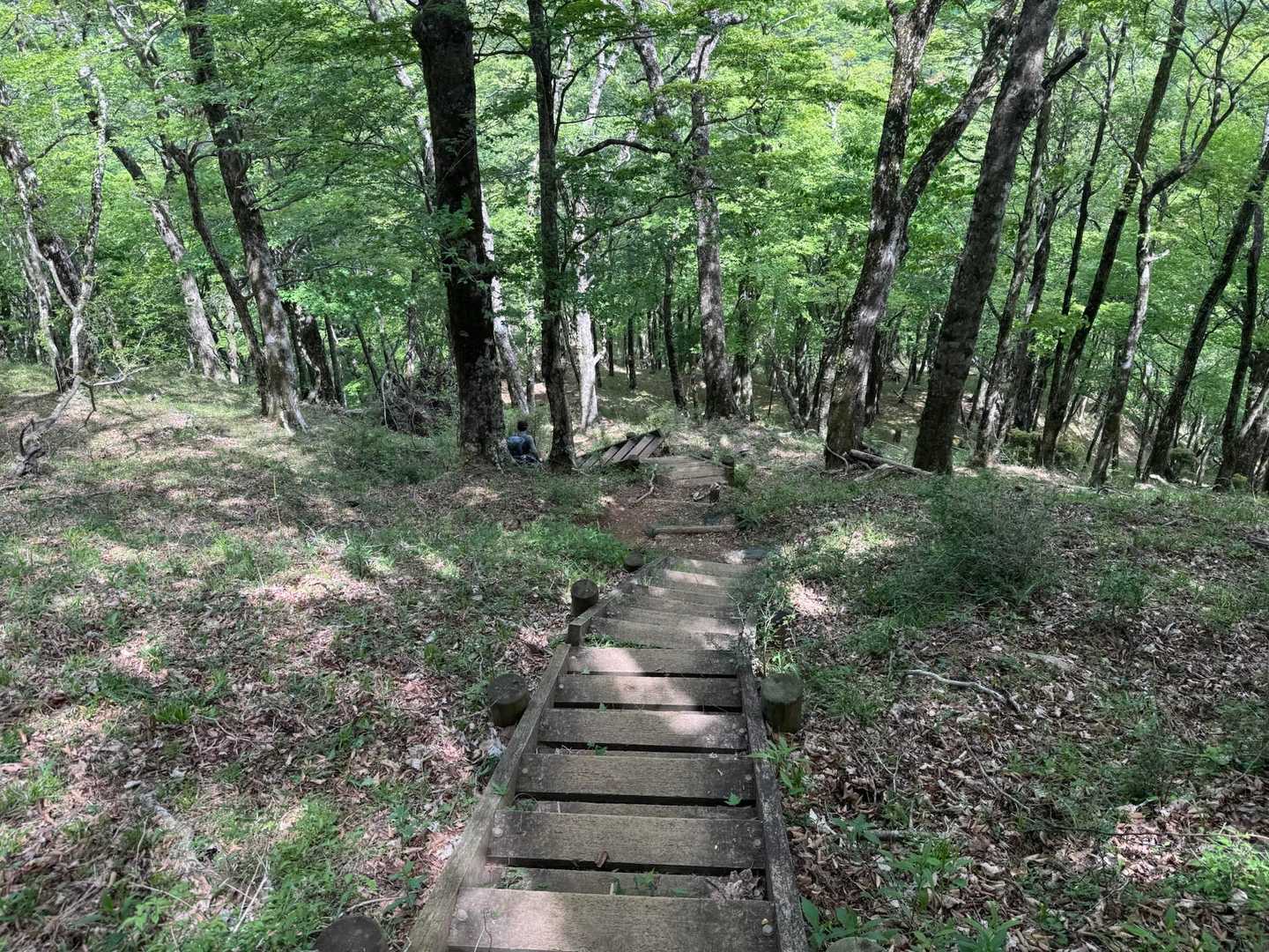 西丹沢バス停-檜洞丸-蛭ヶ岳-丹沢山-塔ノ岳-大倉バス停 縦走コースの写真