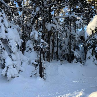 登り返しが一番の核心🥹
