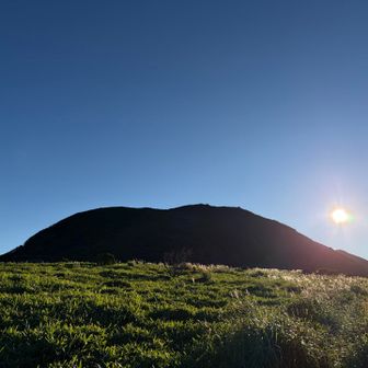 また藪漕ぎして…扇ヶ鼻方面に戻ります😅
すっかり日が上がってきました☀️