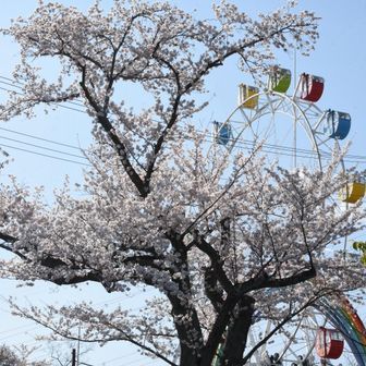 斜面の多い公園ですが、手摺りがきちんと整備され、高齢者でもなんとか歩くことができましあ。