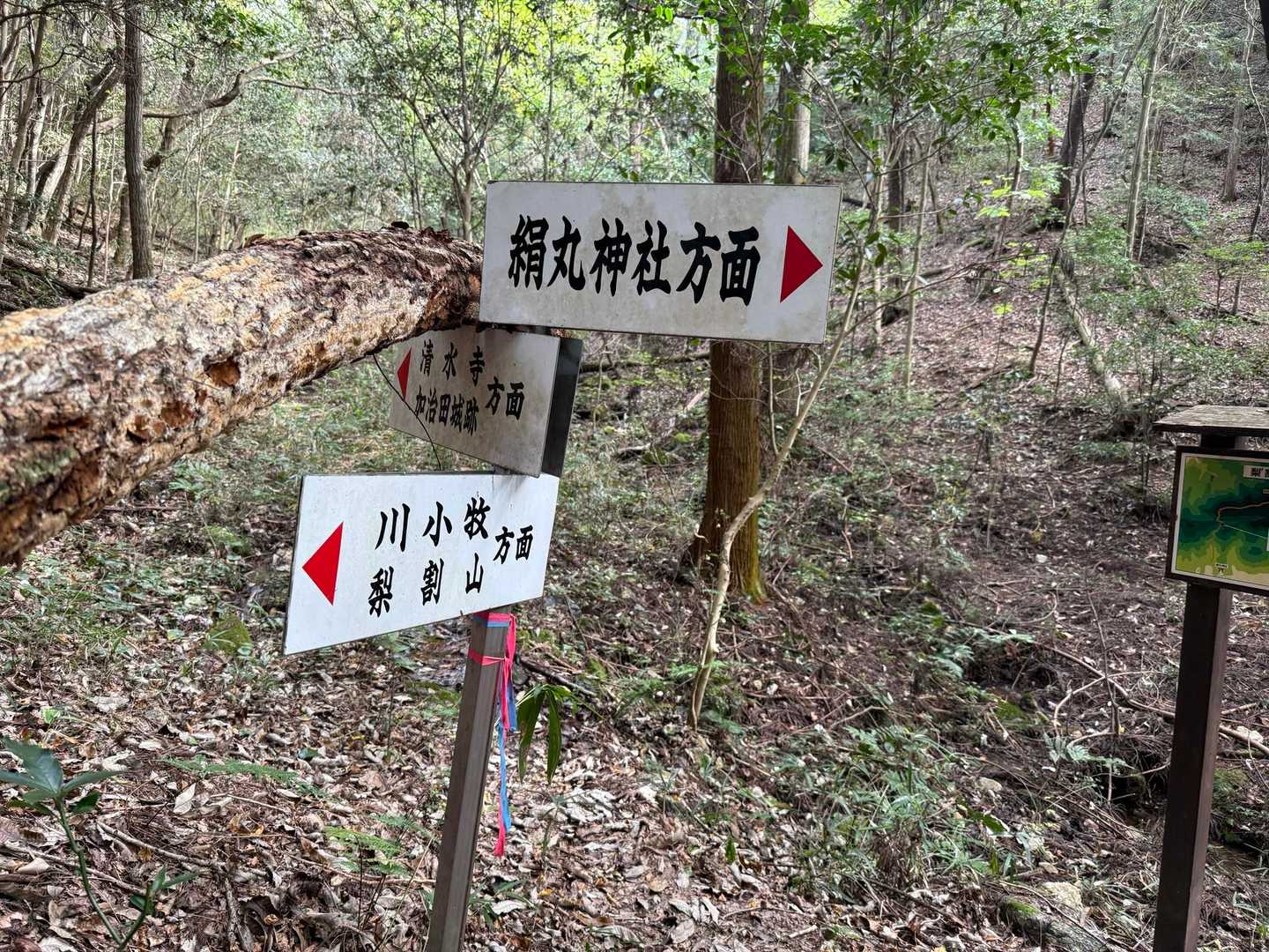 倒木で見づらいですが加治田城跡へは左に進む