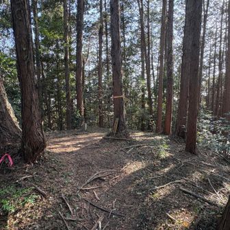 小瀬名富士（標高390）　通過
