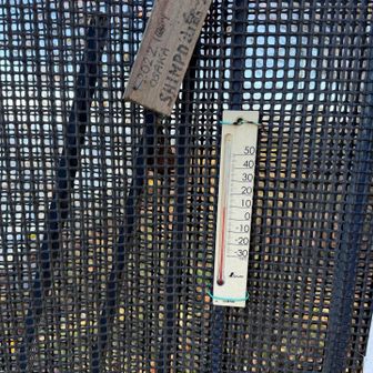 気温は10℃、だけど太陽でていて風もないので寒くない。長tで十分だった
